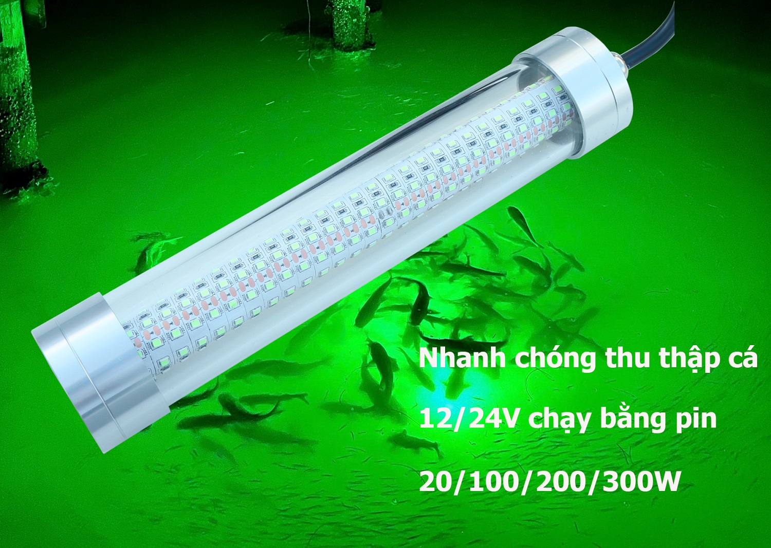 Đèn bắt cá dưới nước đèn nhử cá 12/24v 20w 100w 200w 300w màu xanh lá cây