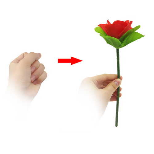 [HCM]ẢO THUẬT BÔNG HỒNG XẾP - BIẾN RA HOA HỒNG TẶNG NGƯỜI YÊU QUÀ LỄ TÌNH NHÂN 14.2