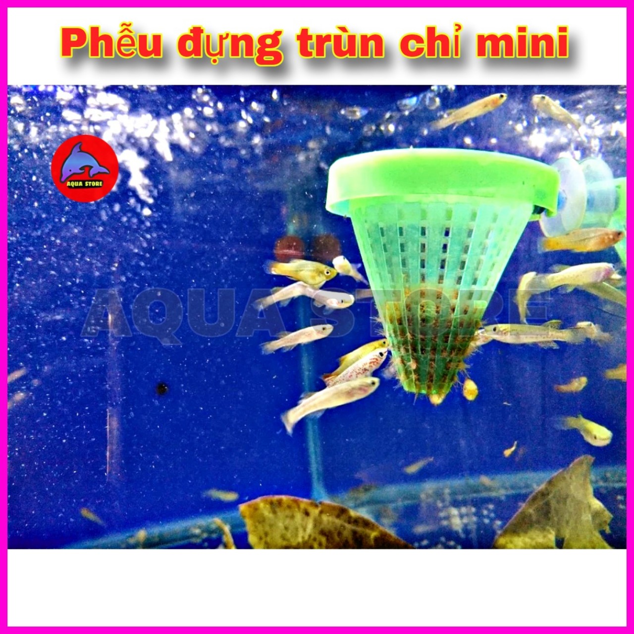 Phễu đựng trùn chỉ , giun cho cá cảnh ăn