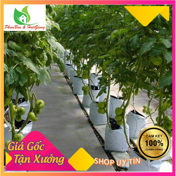 [0.5 Kg - 16 cái 20x40cm] Túi Ươm Cây 2 Da, Túi Nilon Trồng Dưa Lưới, Dưa Leo, Dưa Lê, Cà Chua, Cà Rốt, Ớt, Rau Sạch - Shop Phân Bón, Hạt Giống Rau Củ Quả, Xơ Dừa, Mùn Dừa, Đất Sạch Trồng Rau, Cây Cảnh Tp. Hồ Chí Minh