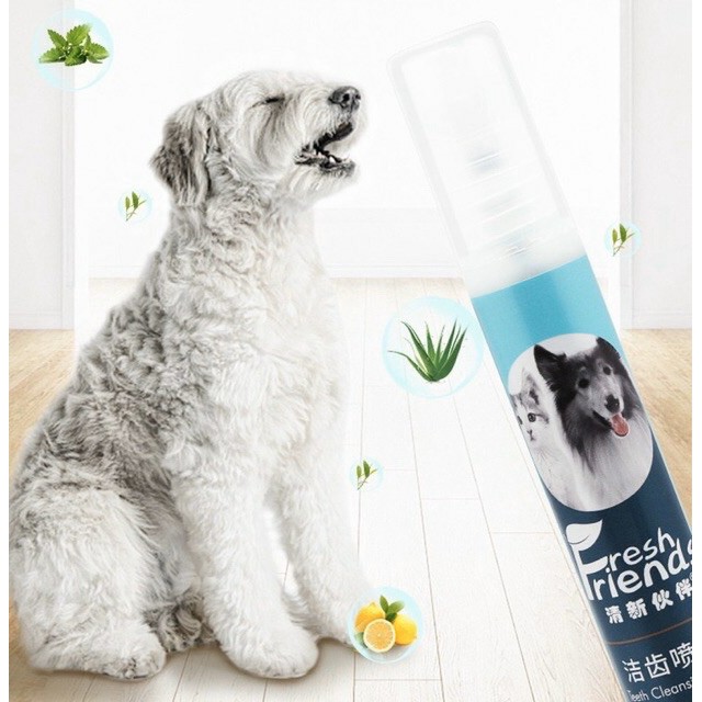 [HCM]Xịt thơm miệng chó mèo Friend chiết xuất từ bạc hà và thảo mộc duy trì hơi thở thơm mát