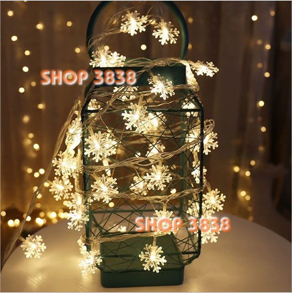 Lựa nguồndây đèn led bông tuyết dài 6m - 40 bóng