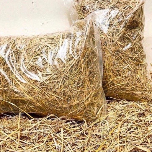 500 gram rơm khô ( nửa kí rất nhiều ). Dùng để trồng cây, ủ nấm, hoặc làm lót chuồng giữ ấm hút ẩm cho thỏ bọ hamster