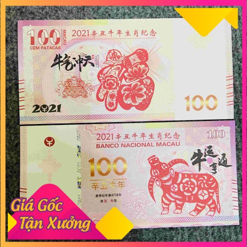 Combo 8 Tiền 100 dola macao hình con trâu 2021; Trưng trong nhà, treo trên cây tài lộc, hoa mai, mang theo trong ví tiền