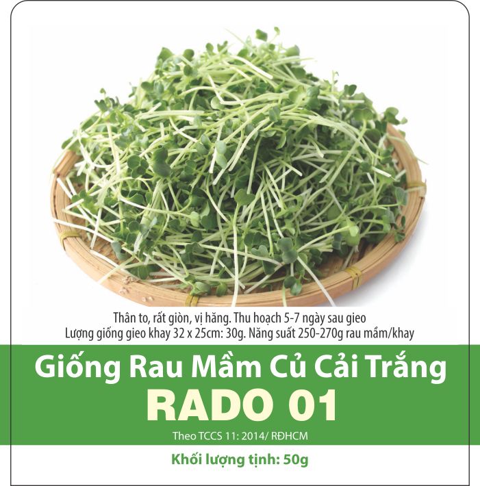 Hạt giống Rau mầm củ cải trắng (50gr) Nhanh Lên, Ăn Liền