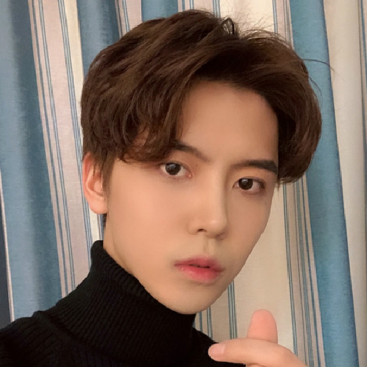 Tóc giả nam nguyên đầu,tóc giả nam cao cấp làm bằng tơ mềm mượt như tóc thật (màu vàng,khói) + tặng kèm lưới