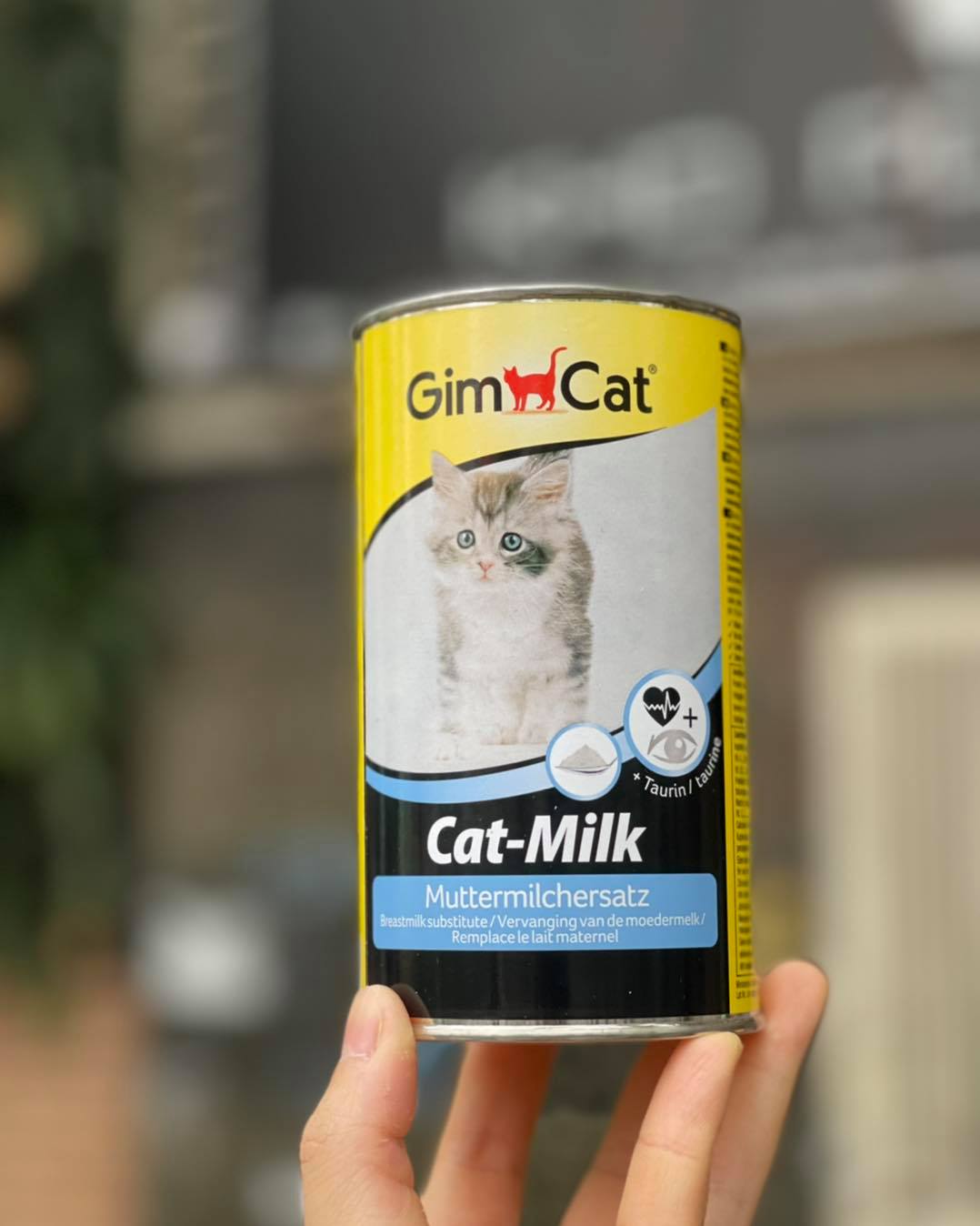 Sữa bột Gimcat cho mèo con 200g