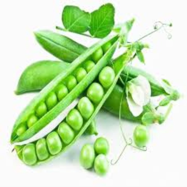 gói 40 hạt giống đậu hà lan mua 5 sản phẩm tặng 1