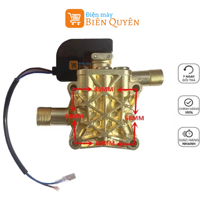 Đầu bơm máy rửa xe mini có kèm rơ le điện, đầu xịt rửa xe cao áp