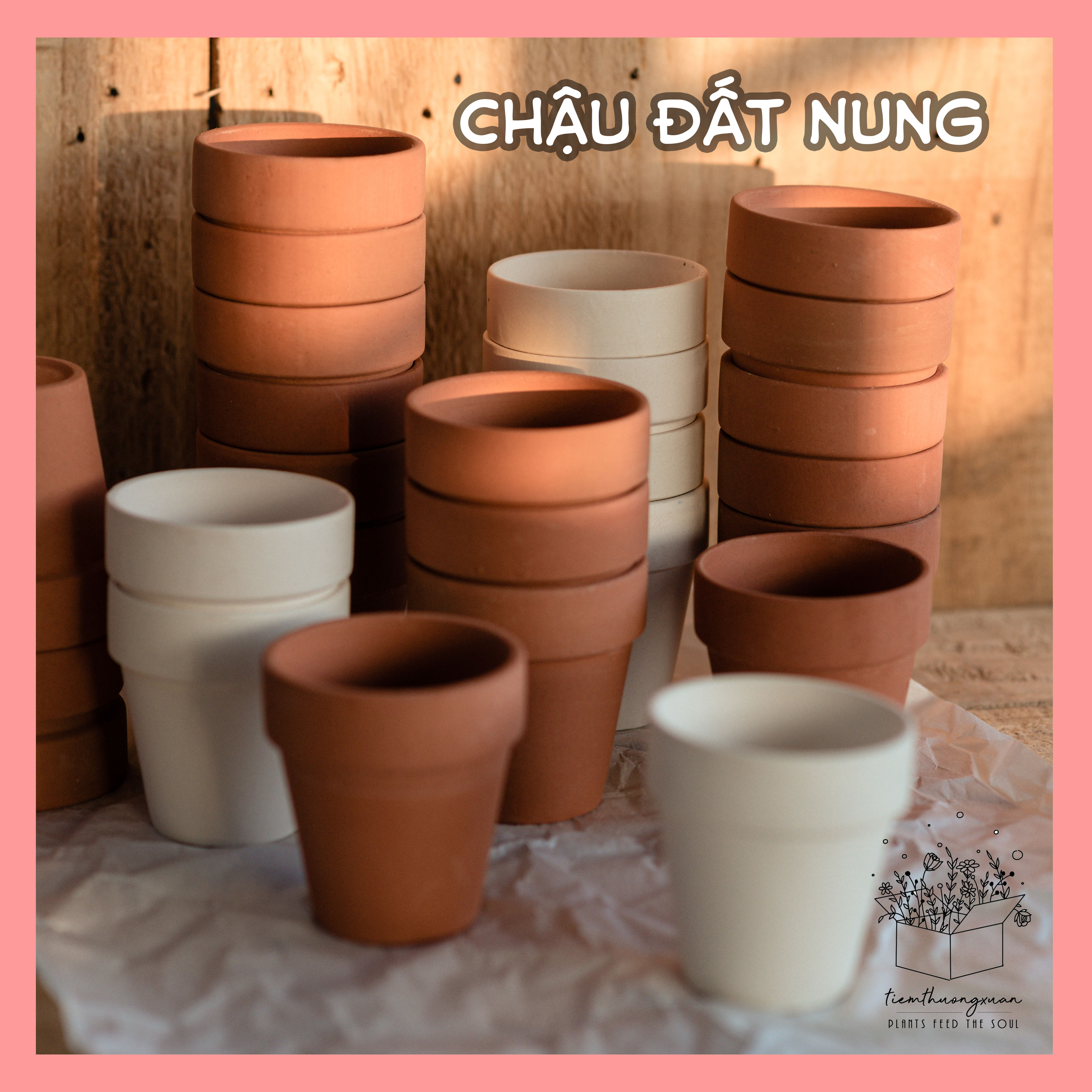 Chậu trồng sen đá, Chậu đất nung - Trang trí thay chậu nhựa trồng cây - Tiệm Thường Xuân