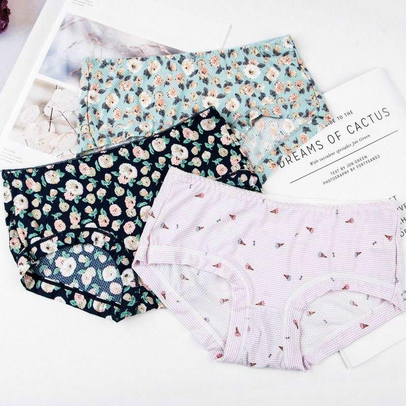 10 quần lót nữ su điều hòa, quần lót thông hơi, quần lót ren, quần lót cotton,quần lót đúc,quần chip,quần sexy