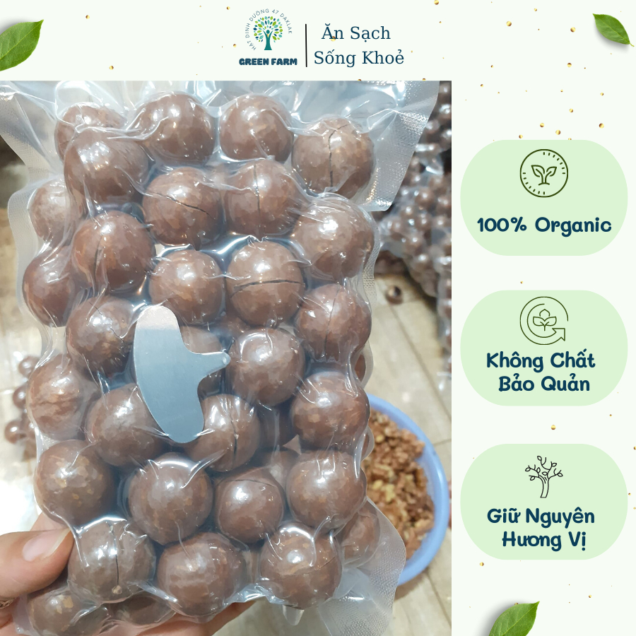 1kg hạt macca nứt vỏ dak lak hạt to ngon béo, hạt mắc ca dinh dưỡng cho bà bầu, ăn kiêng, giảm cân loại vip size 23-29mm green farm