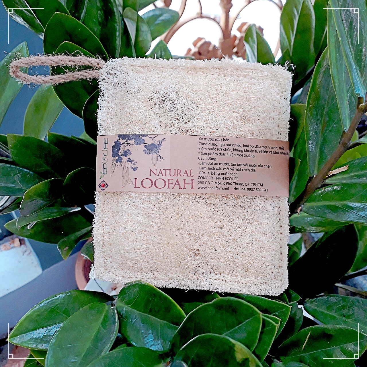 Xơ mướp rửa chén, xơ mướp rửa bát ECOLIFE KOREA - Natural Loofah Dish Cleanser