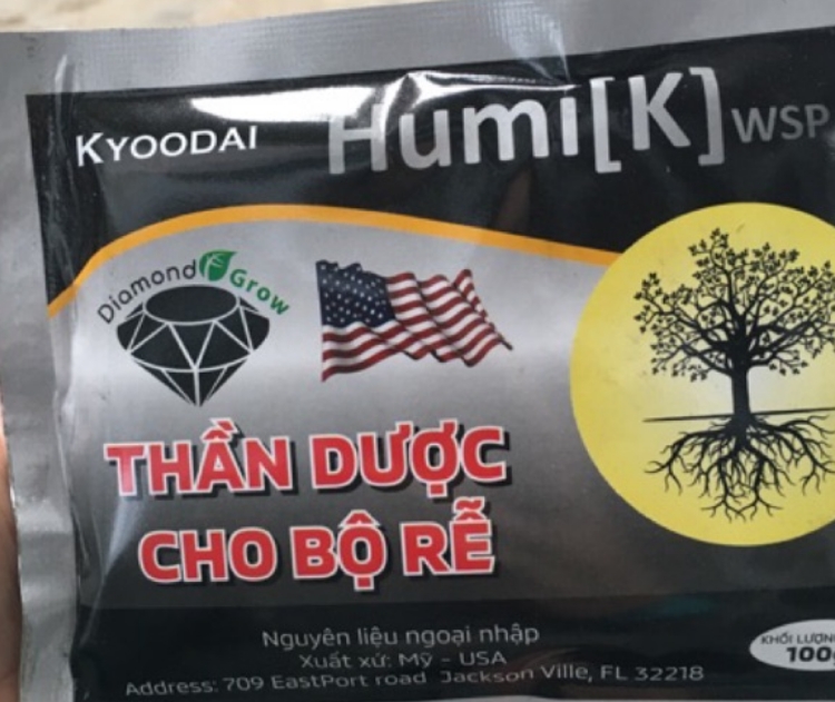 Phân bón sinh học, ra rễ hiệu Humi [K] 100 gam Tan 100%, Tăng hấp thụ phân bón - chống ức chế rễ - giải độc phèn