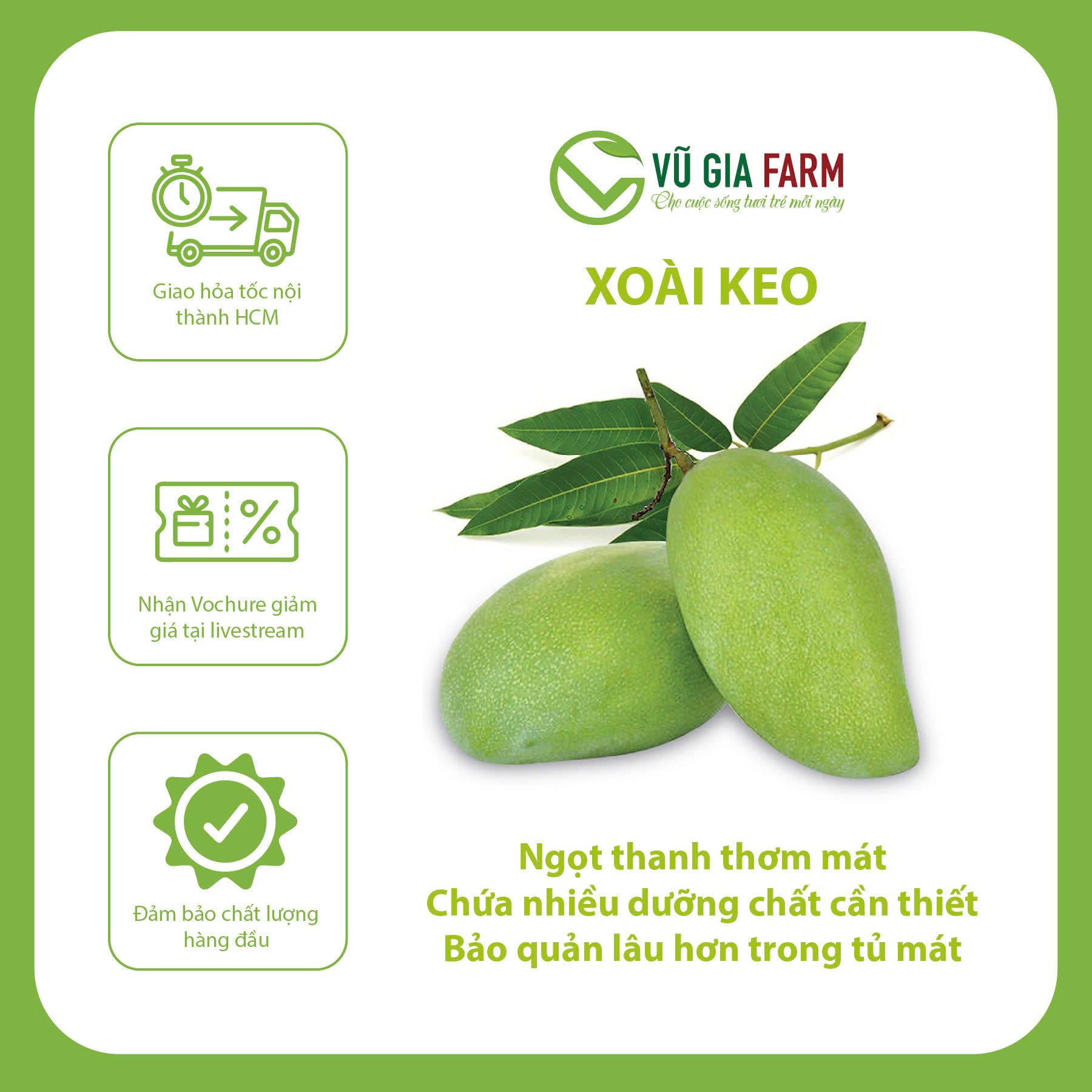 [HỎA TỐC HCM] Xoài Keo Ăn Sống - giòn, có ngọt, có hậu chua chua ngon miệng