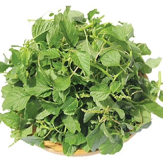 Hạt giống rau dền cơm