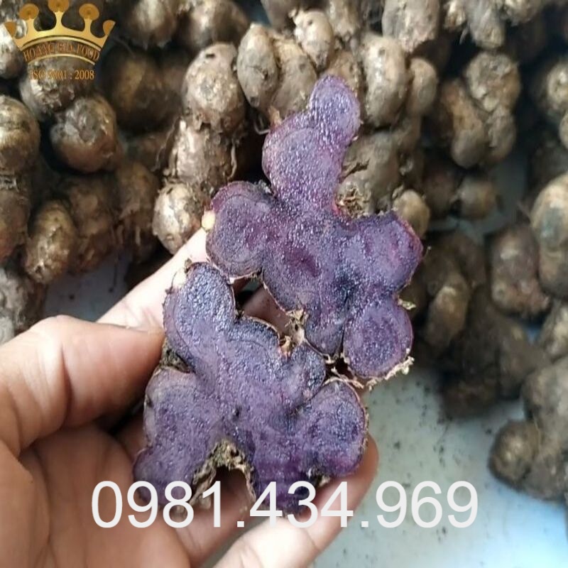 Gừng đen tươi 01kg chuẩn