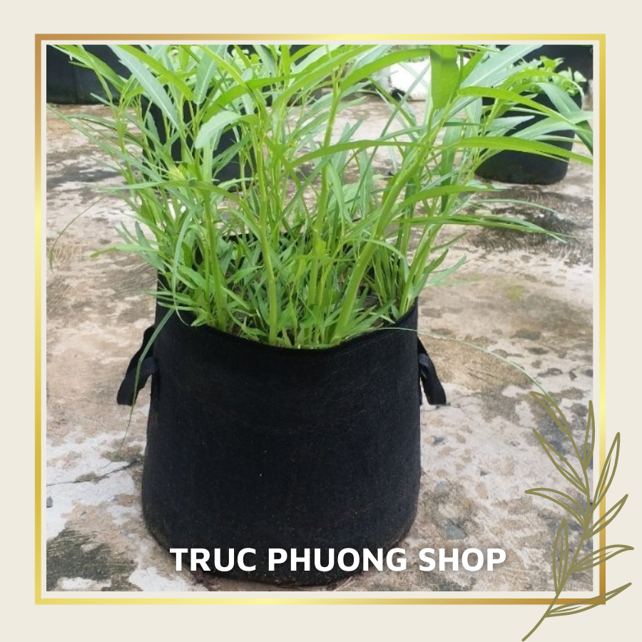 Túi vải trồng cây trồng hoa, chậu vải trồng rau củ quả, chậu vải siêu bền có quay cầm với 4 kích thước
