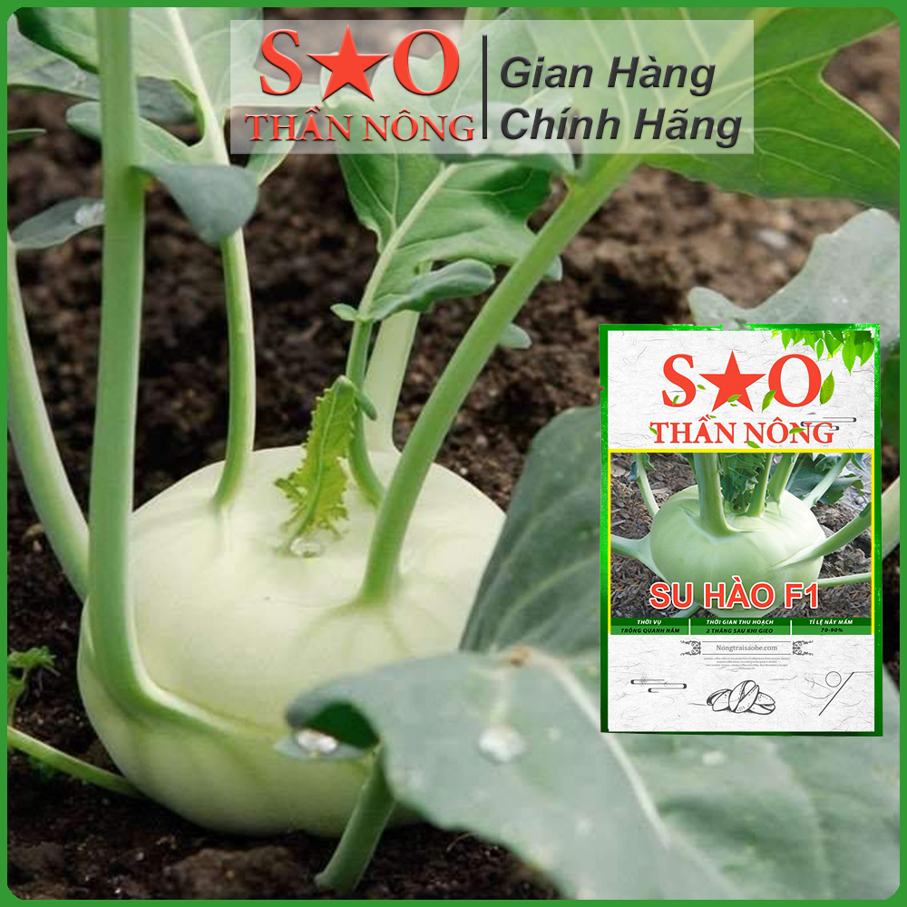Hạt giống Su Hào củ to xanh đẹp kháng sâu bệnh trồng vào vụ đông năng suất cao - Hạt giống rau củ Sao Thần Nông