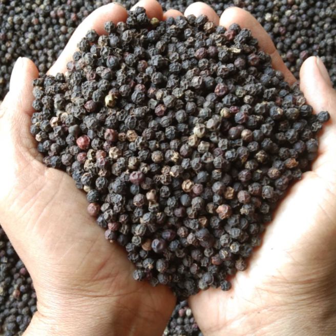 Tiêu đen nguyên hạt chưa rang xay sạch sẽ không tạp chất.