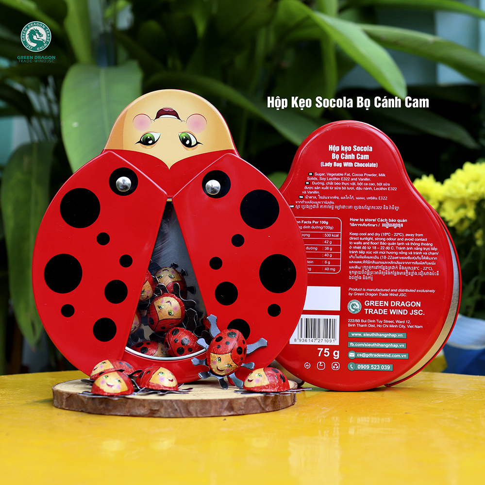 HỘP KẸO SOCOLA BỌ CÁNH CAM