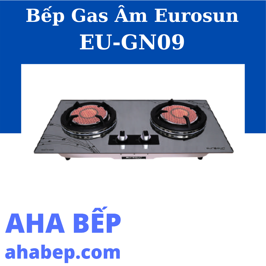 Bếp ga âm eurosun eu-gn09 - hàng chính hãng