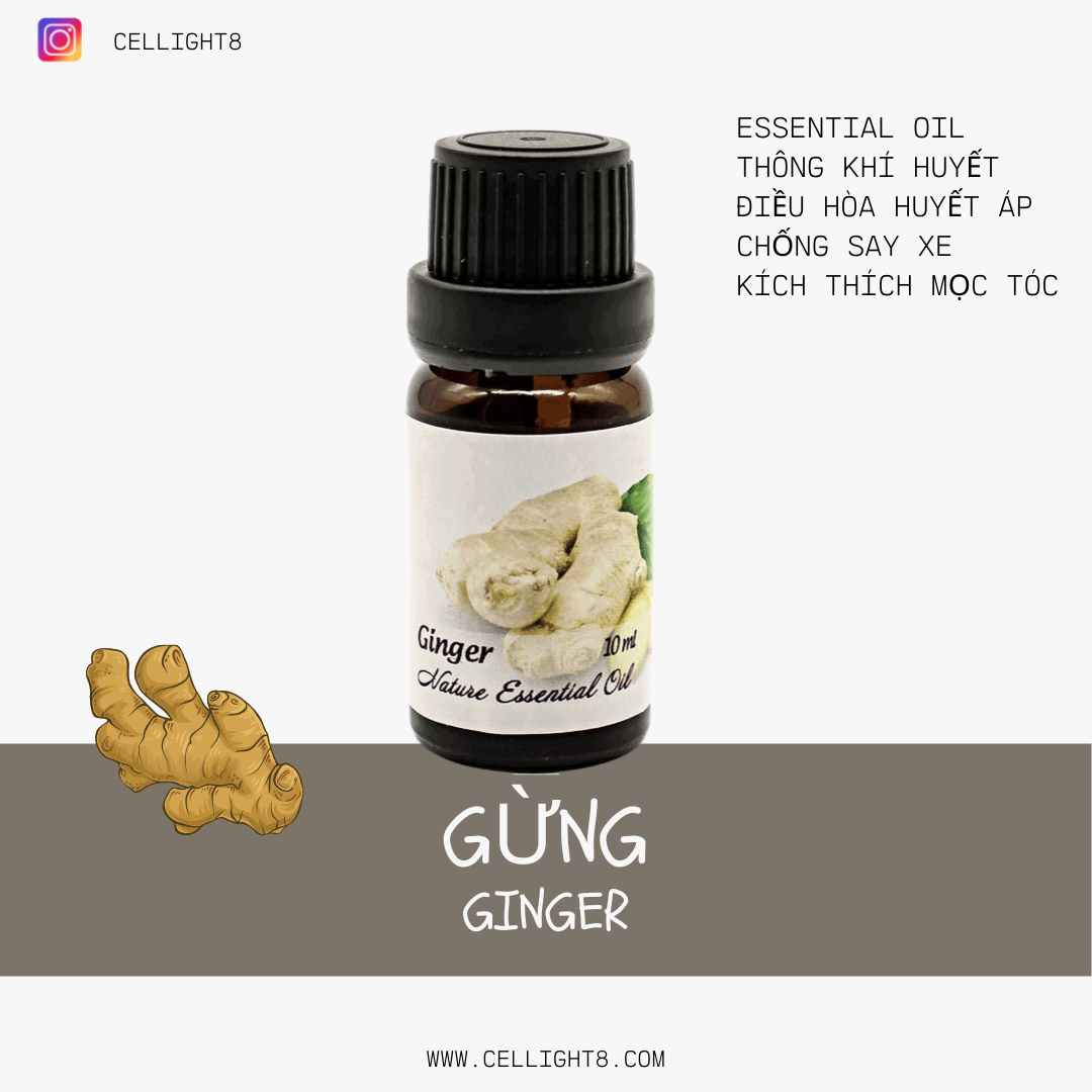 Tinh dầu gừng - Ginger Essential Oil