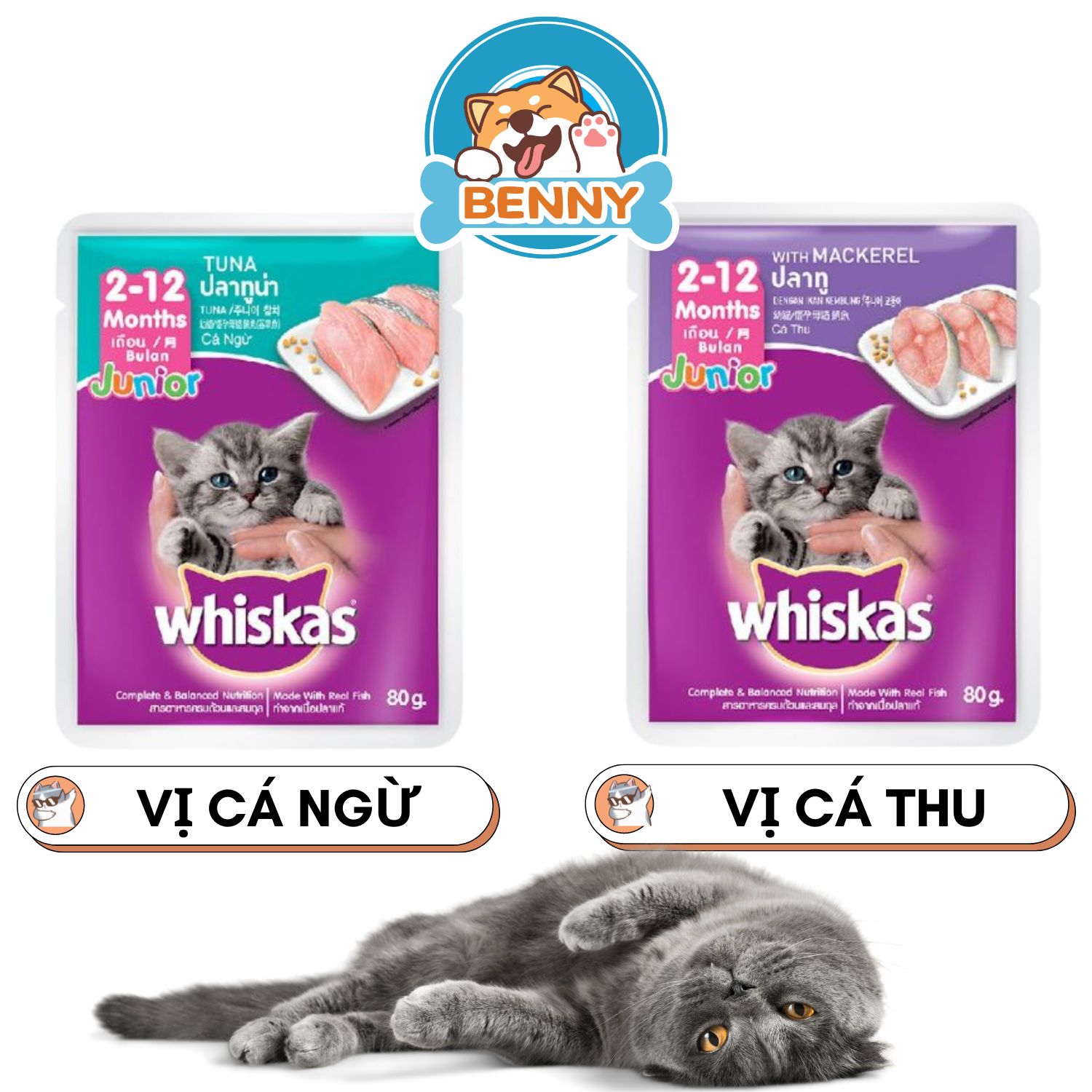 Pate cho mèo con whiskas junior gói 80g