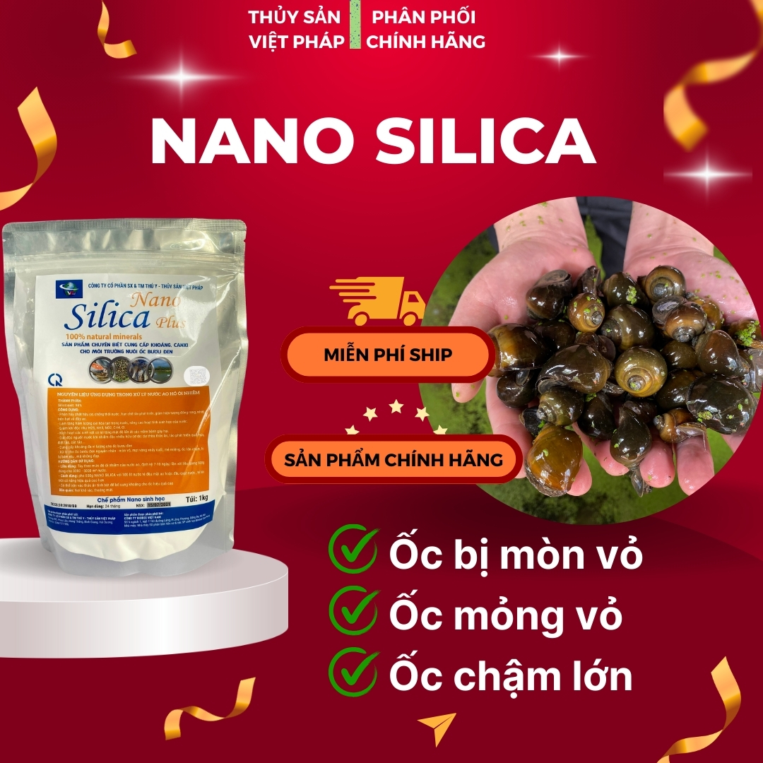 Nano silica plus đặc trị mòn vỏ, bổ xung khoáng và canxi, tăng sức đề kháng cho ốc bươu đen