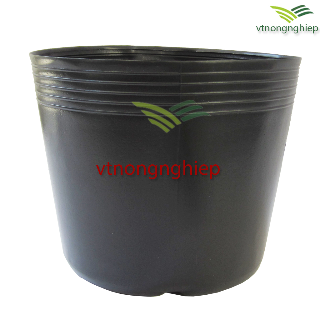 50 Chậu nhựa trồng cây  C12 33x25x27