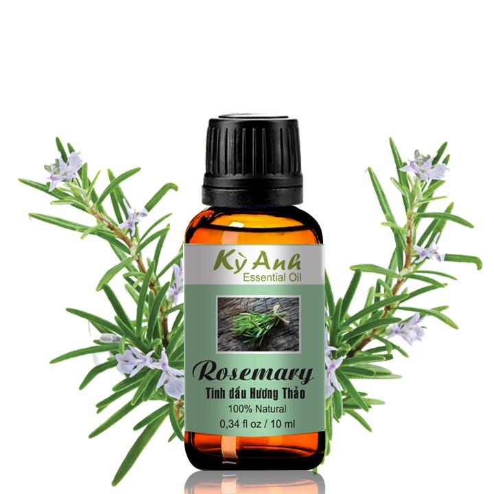 [HCM]Tinh Dầu Hương Thảo-Rosemary Essential Oil- Tinh Dầu Ấn Độ
