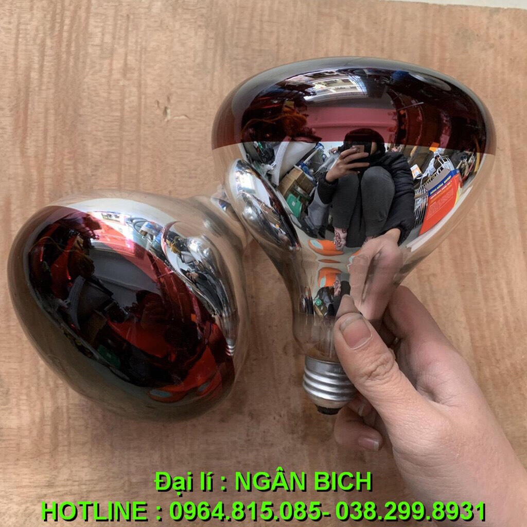 Bóng úm bóng sưởi bóng hồng ngoại sưởi ấm gia súc gia cầm vật nuôi 100W 175W