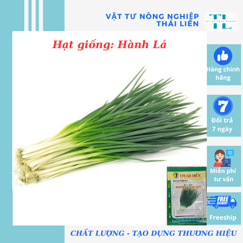 Hạt giống Hành Lá, hàng Công ty Thuận Điền