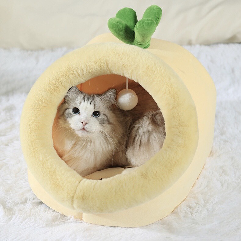 Ổ đệm cho chó mèo hình hoa quả giá rẻ