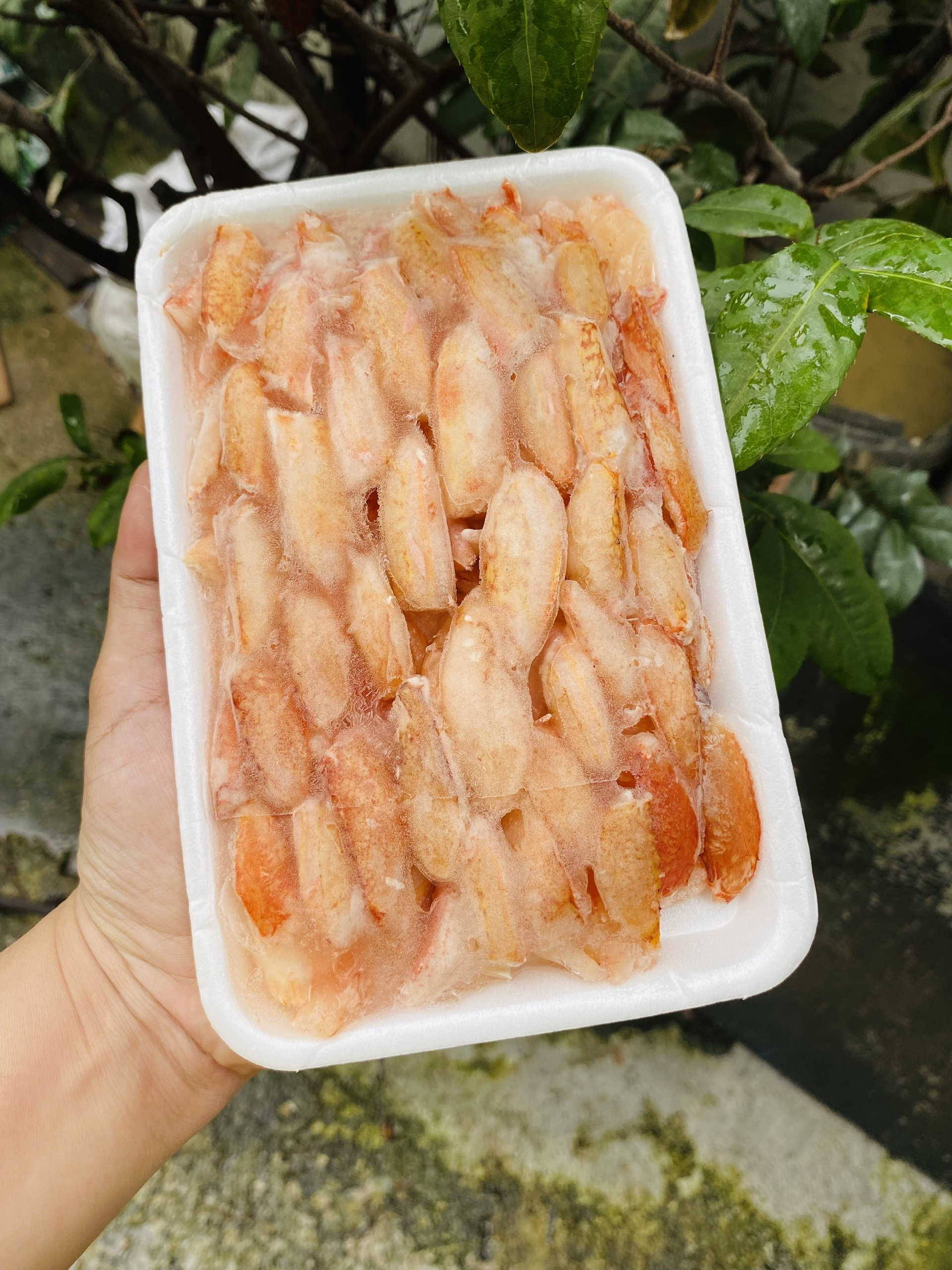 Giá sỉ thịt càng ghẹ a