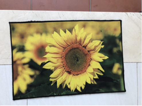 Thảm lau chân 3d kích thước 40 x 60cm với thiết kế công nghệ in hình ảnh 3D đẹp mắt, siêu thấm hút, vừa giúp sàn nhà luôn khô ráo, sạch sẽ