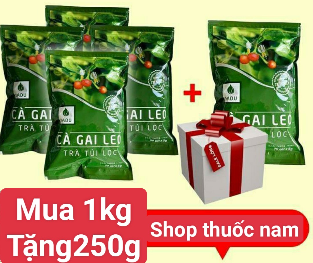 Cà gai leo túi lọc Sadu 1kg-tặng bịch 250g  hỗ trợ các vấn đề về gan (men gan cao, gan nhiễm mỡ...)