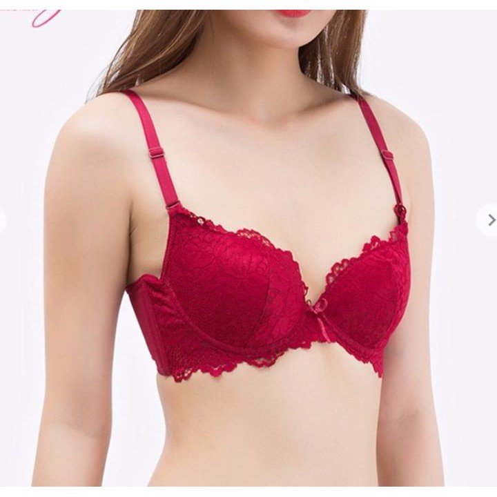 Áo ngực ren đệm mỏng cho ngực to , áo lót bản dây lưới 003 không gian eva kge