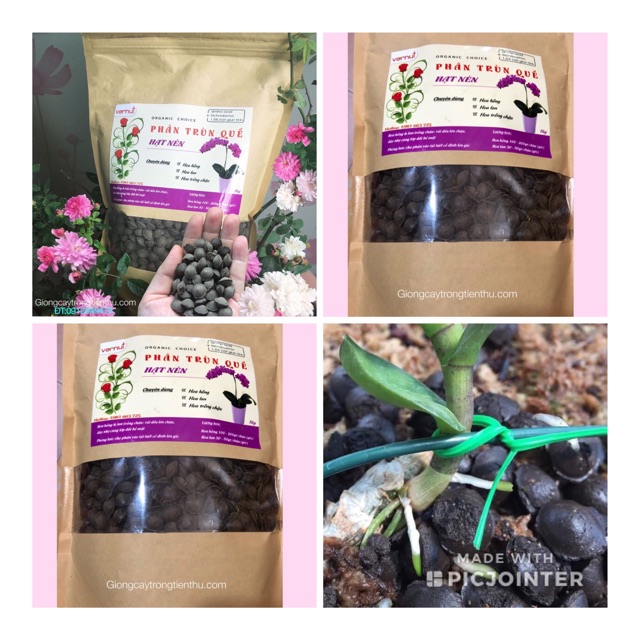 Phân trùn quế hạt mận (chuyên dùng cho hoa hồng, hoa lan, hoa trồng chậu...1kg