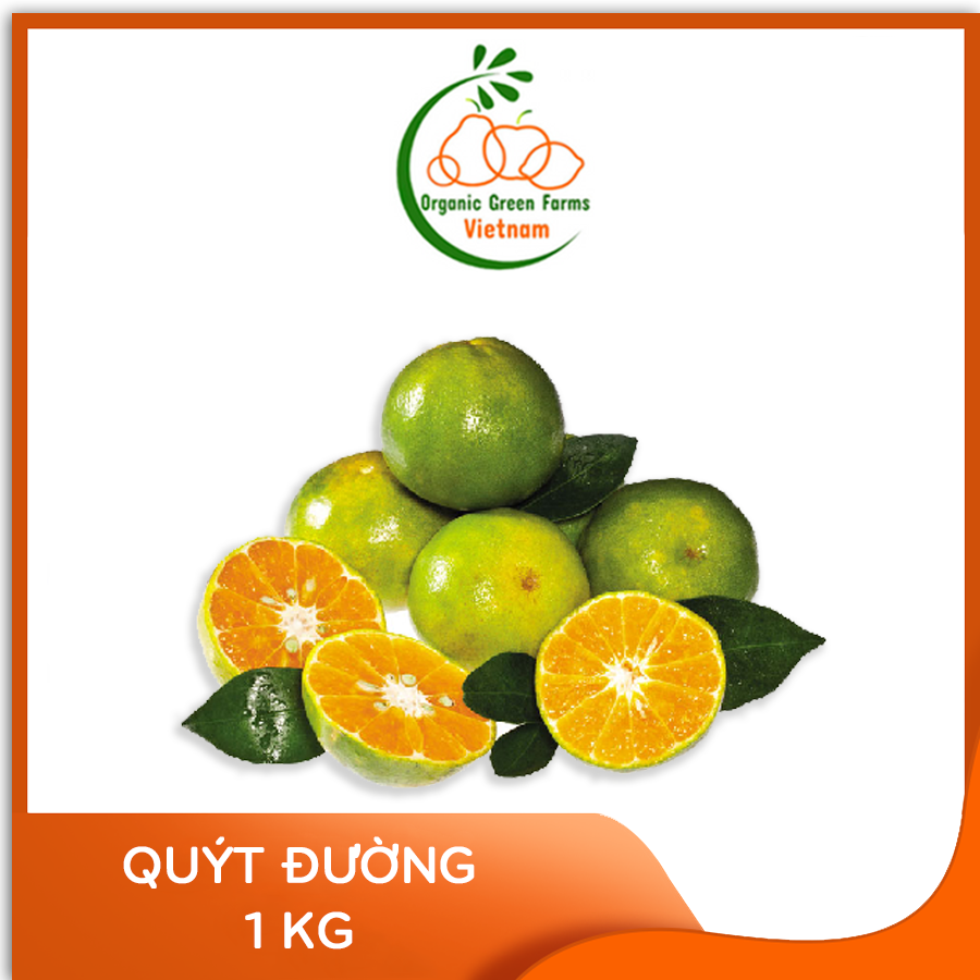 - quýt đường - giao nhanh hcm