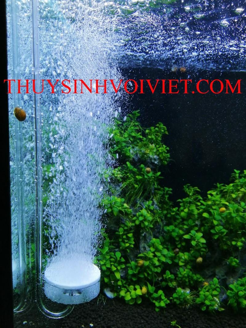 Cốc sủi OXY siêu mịn dài 29CM dành cho hồ cá cảnh, hồ thủy sinh