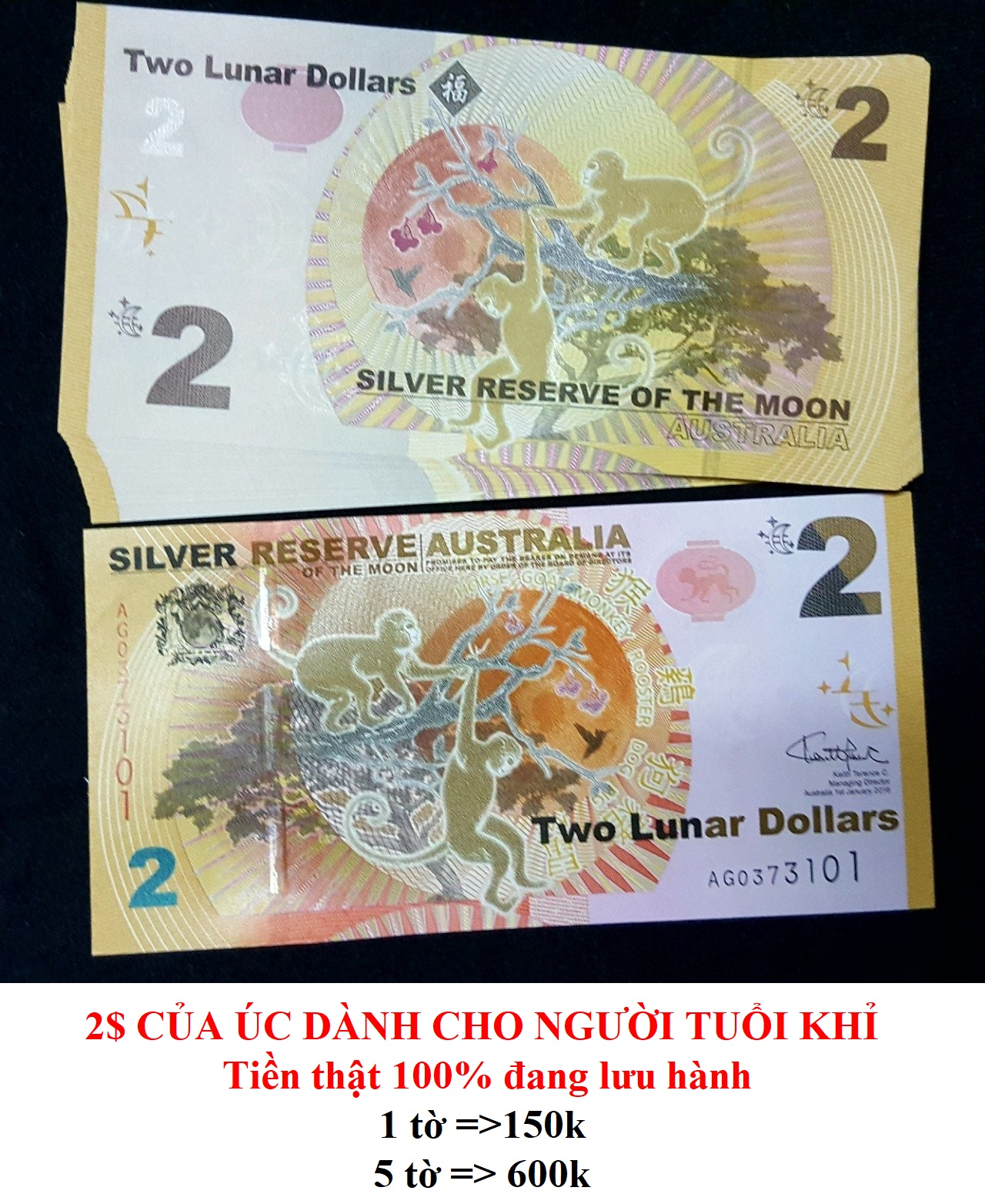 Kỉ niệm in hình con Khỉ