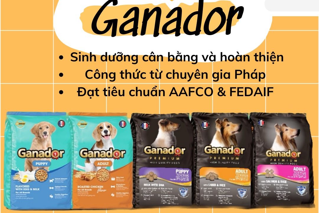 Thức ăn hạt Ganador cho chó trưởng thành và chó con