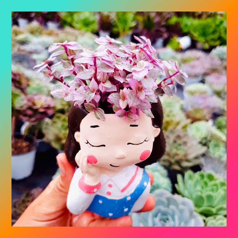 Chậu hình cô gái 👧 siêu xinh 🍖 lỗi 1 đổi 1