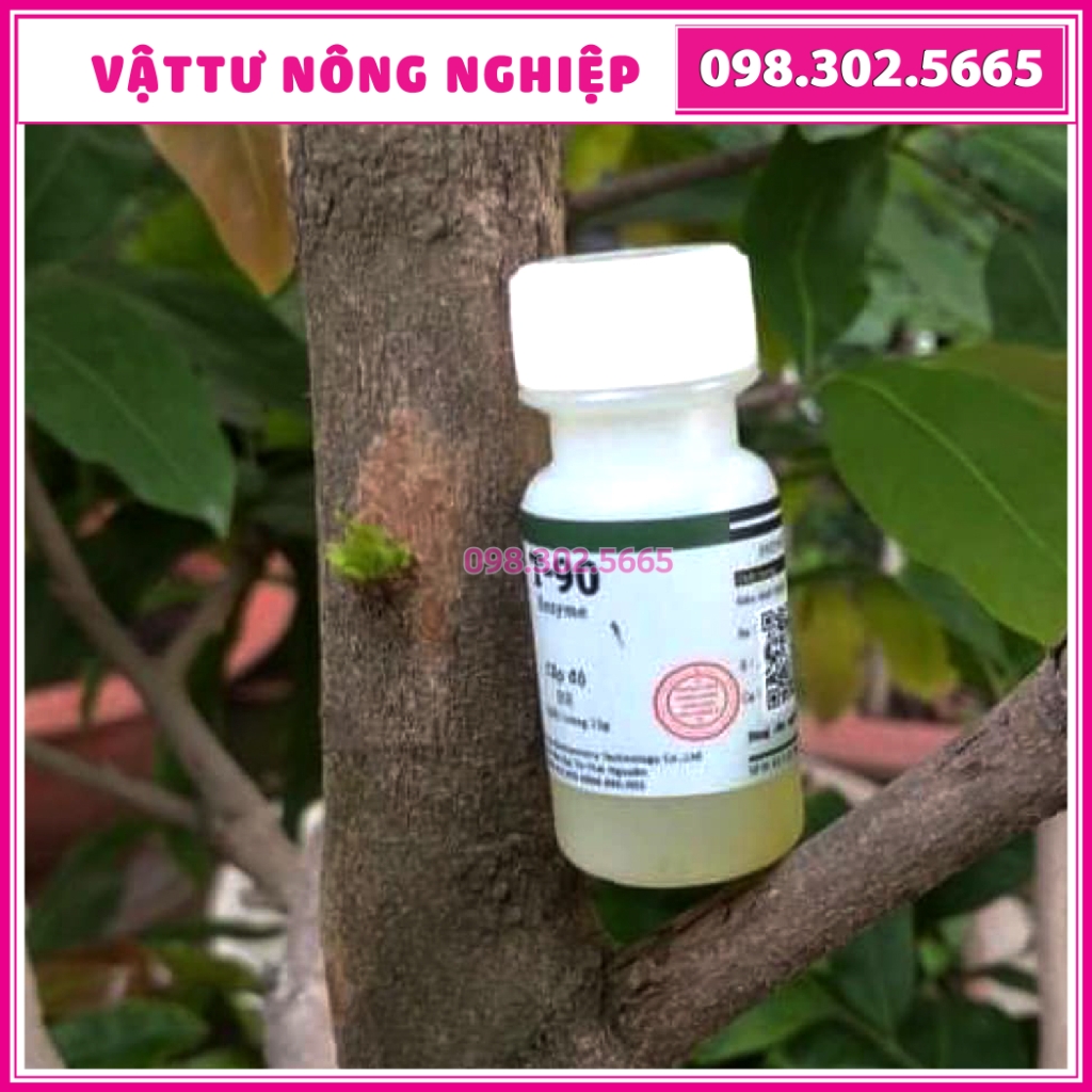 Siêu kích mầm T90 Bôi ở đâu, bật mầm ở đó dùng cho hồng, lan, mai, đào...