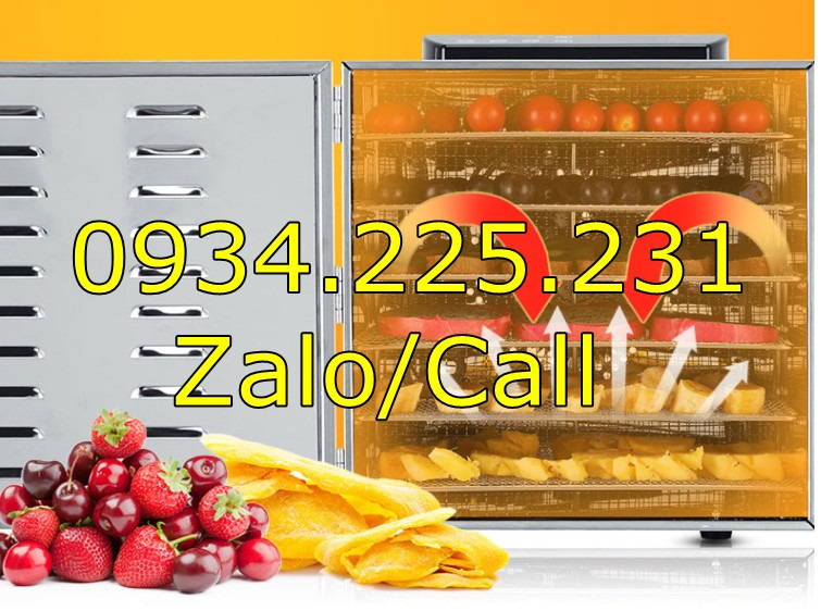 [Hàng có sẵn] Tủ sấy thực phẩm, dược liệu, hoa quả, hải sản loại 6 Tầng INox cao cấp