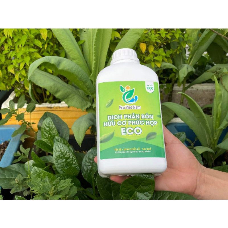 Dịch phân bón hữu cơ eco việt nam. dịch trùn quế..
