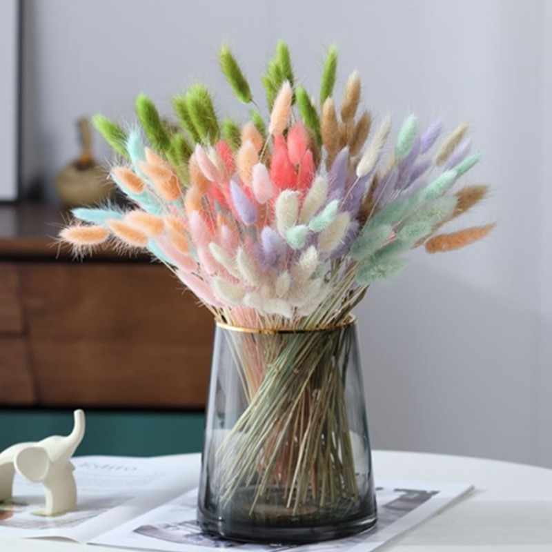 ( 5 bông ) hoa đuôi thỏ - hoa khô thủ đức