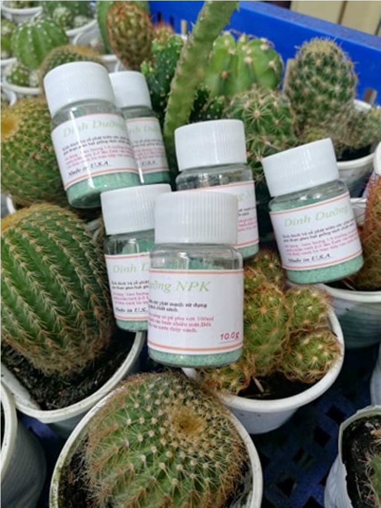 Phân bón thúc rễ cho cây trồng
