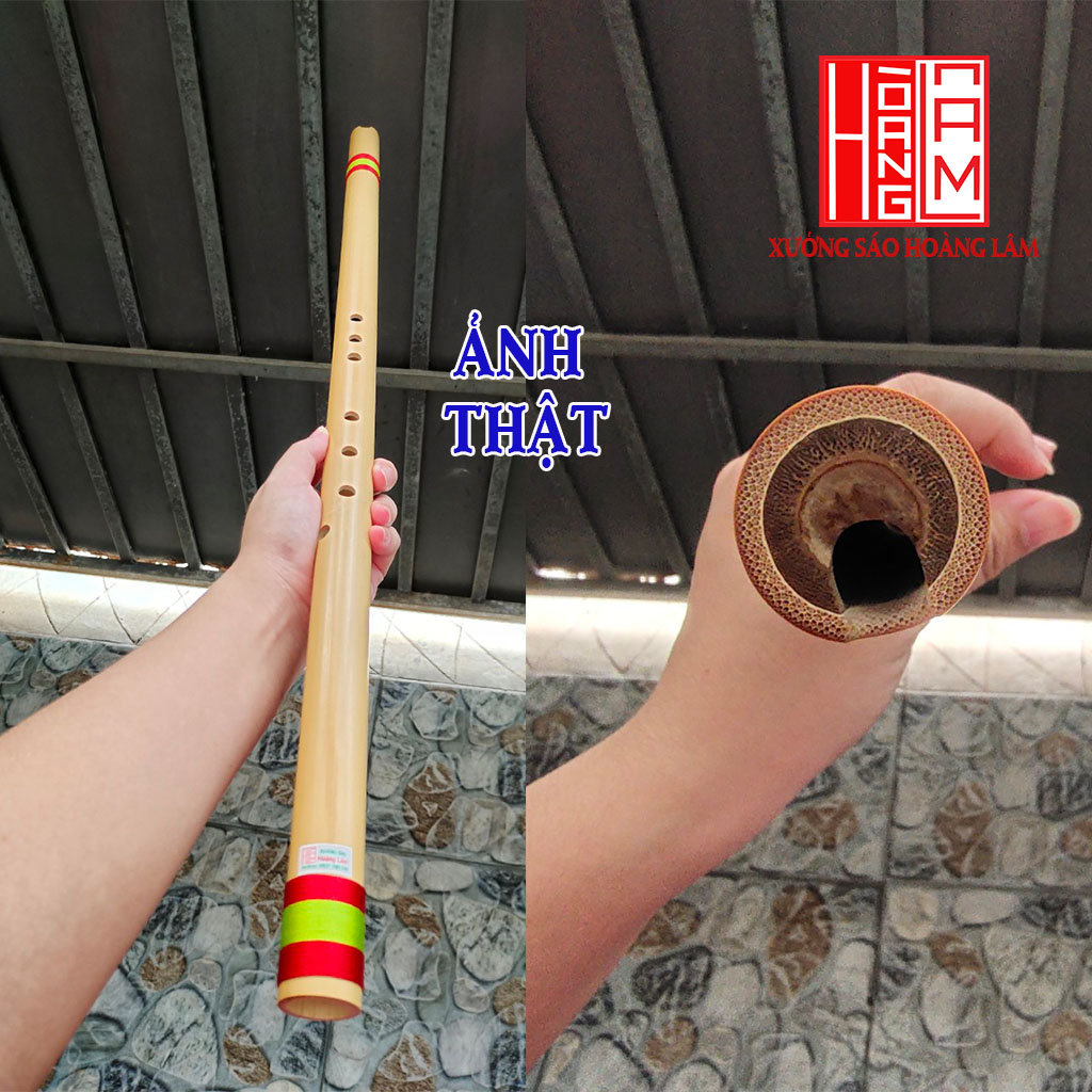 Động Tiêu bát khổng C4 Dòng Cơ bản nứa nam chất lượng HL15